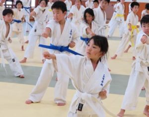 278budonicharenjiigaitotanoshiikaratedo