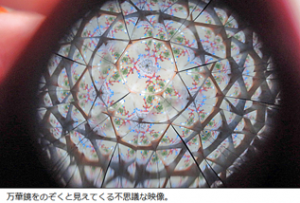 351bidamamangeyowotukuro