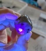 360chikyuunookurimonokoubutunosekai