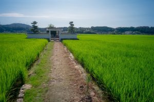 井伊直虎と地域を知る